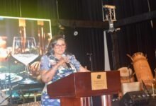 Maame Efua Houadjeto addressing the gathering