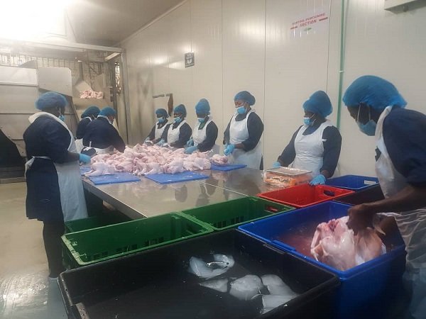 Factory workers processing and packaging chicken for the market