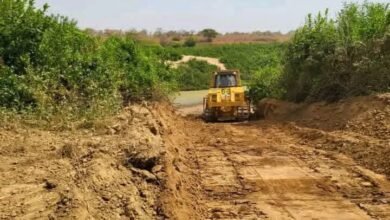 bulldozers clearing the way for construction of the bridge