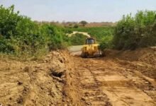 bulldozers clearing the way for construction of the bridge