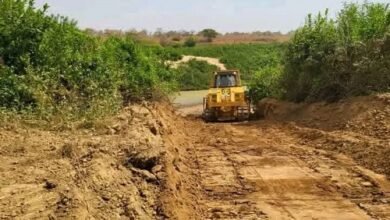 bulldozers clearing the way for construction of the bridge