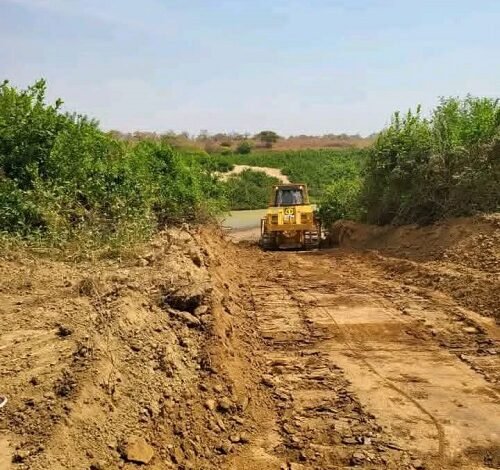 bulldozers clearing the way for construction of the bridge