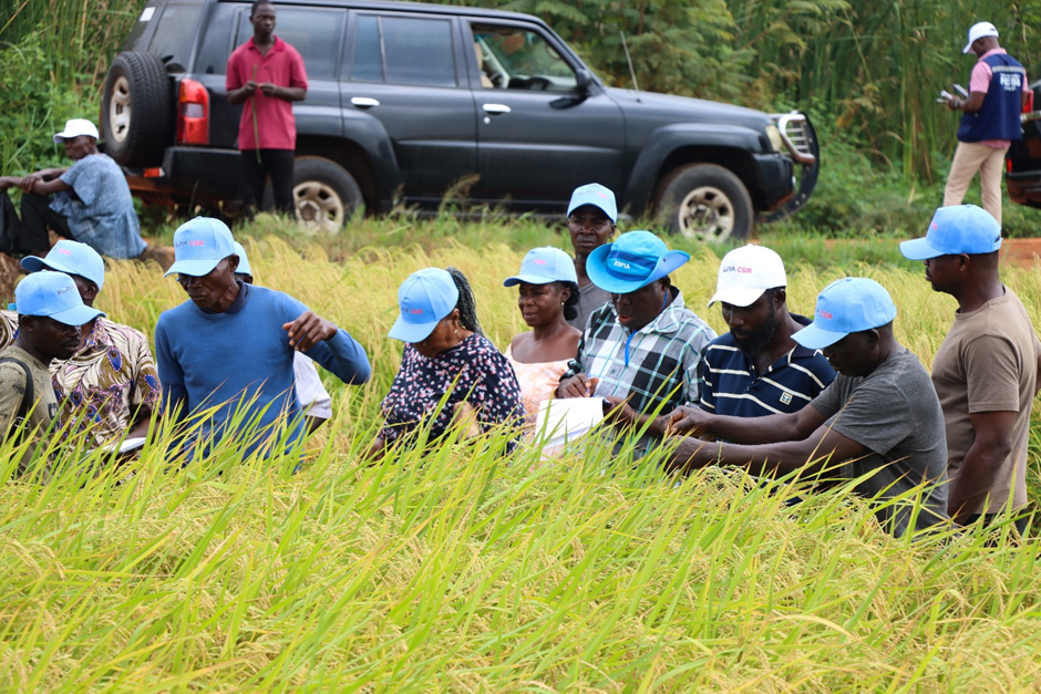 160 farmers trained in climate-resilient rice production