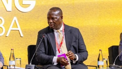 Mr Emmanuel Armah-Kofi Buah, Minister of Lands and Natural Resources