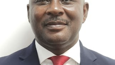 Professor Kwabena Frimpong-Manso Opuni, Acting Chief Executive Officer, FDA