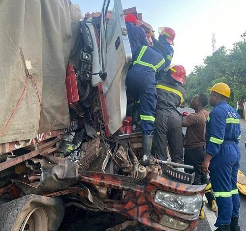 • Fire officers in a rescue operation