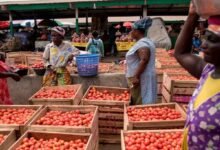 Tomato traders suspend Burkina ------Some tomato traders in Accra