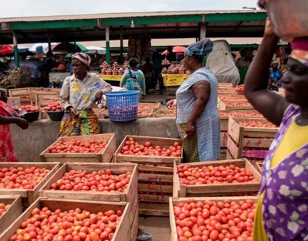 Tomato traders suspend Burkina ------Some tomato traders in Accra