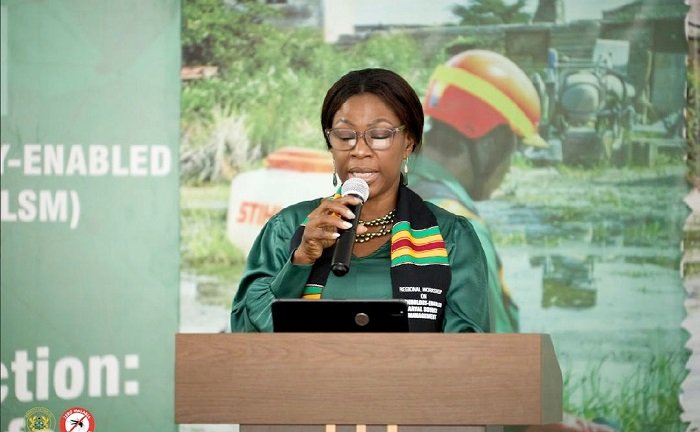 Deputy Health Minister calls for stronger use of technology in malaria prevention
