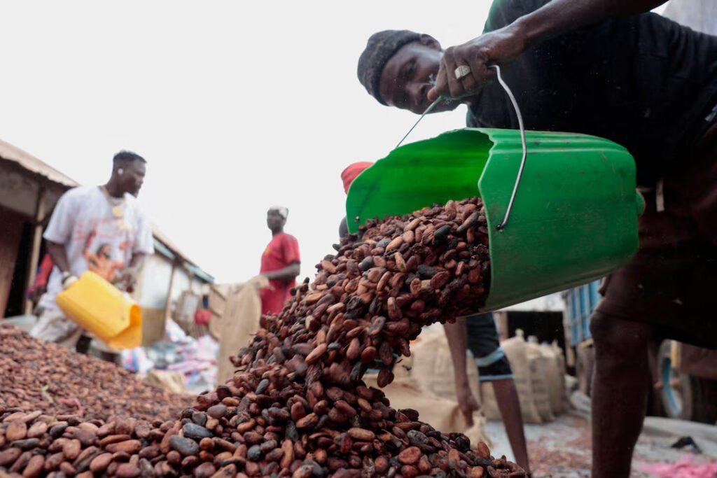 Workers pour cocoa beans as they prepare to gather unsold stocks of cocoa