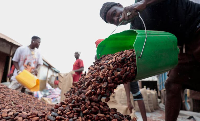 Workers pour cocoa beans as they prepare to gather unsold stocks of cocoa