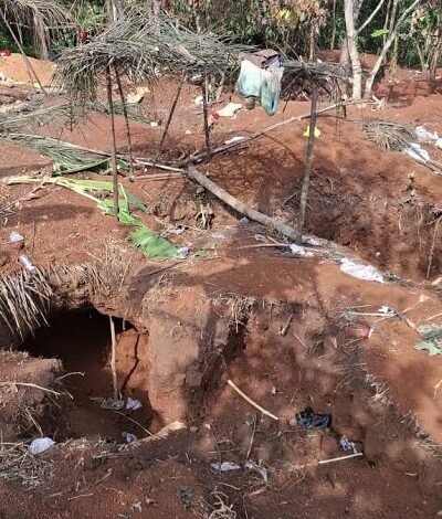 The old mining pit (3)