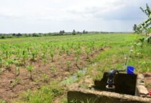 An aerial view of the Weija irrigation site