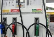 Prices are expected to go up marginally