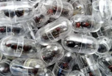 Some ants were recovered in test tubes while others were concealed in tissue paper rolls