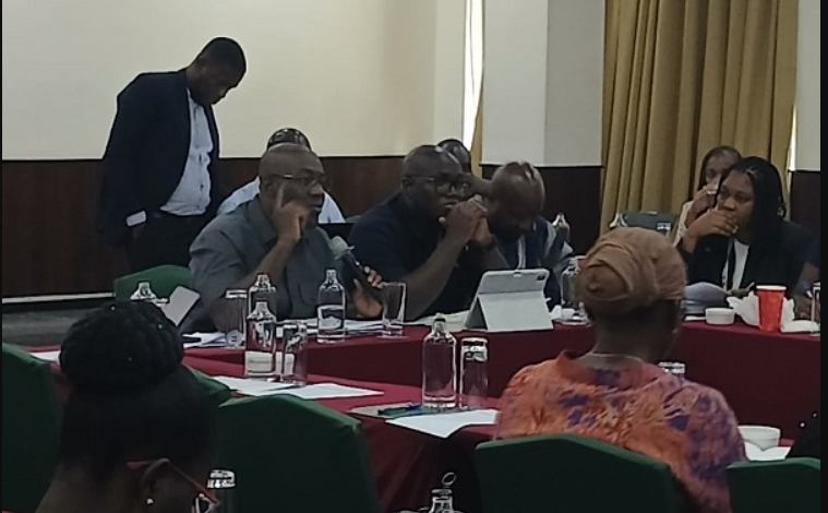 • Mr Nkrumah, speaking at the stakeholder engagement