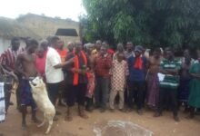 Togbe Abordor VIII offering prayers and also slaughtered a ram to end the destoolment rites.