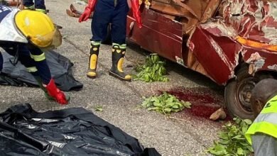 • Personnel from the GNFS at the accident scene