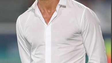 Renard Herve - sacked