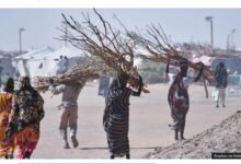 • Sexual violence has become common Sudan even in areas not experiencing active conflict