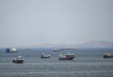 Ships and boats in the Strait of Hormuz