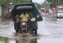 The flooding also damaged roads and bridges