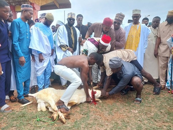 A ram being slaughtered by Alhaji Baba Seidu, Bono Regional Chief Imam