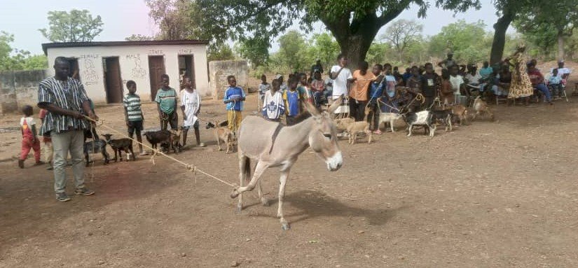 Livestock donated to one of the beneficiaries