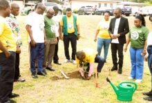 Dr Mbroh planting a flower to mark the occasion at the hospital
