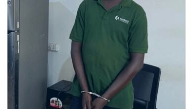 The suspect