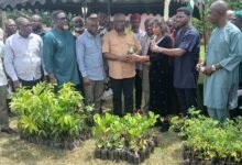 Ms Narahari (third from right) presenting improved planting materials to Mr Eric Opoku,Minister of Food and Agriculture