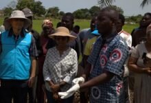 Dr Kim (left) and CSIR officials during their visit to the rice farm