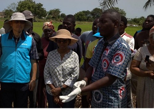 Dr Kim (left) and CSIR officials during their visit to the rice farm