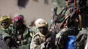 Boko Haram militants kill 23 soldiers in Chad