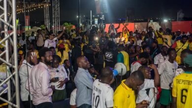 A section of fans watching the game at one of the viewing centres