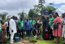 Mr Ashie planting a tree during the launch