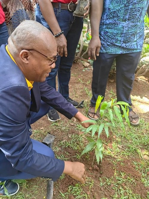 Mr Adjabeng planting a tree during the exercise