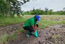 Dr Kasser Tee planting a tree seedling