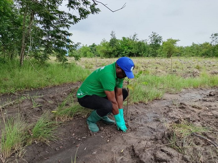 Dr Kasser Tee planting a tree seedling