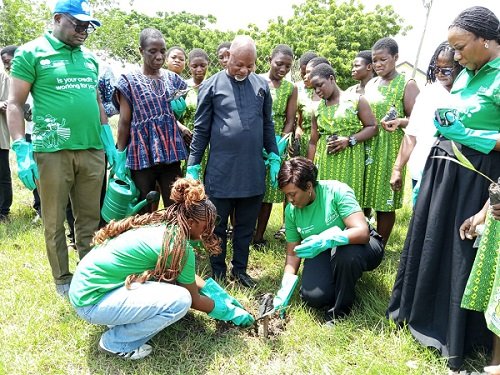 Mrs Amanquah planting a tree seedling