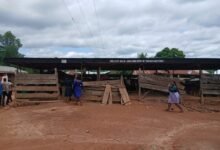 Dilapidated wooden structure serving as classrooms for learners