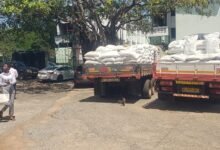 Trucks loaded with fertiliser for distribution to farmers