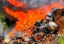 The seized drugs being destroyed by fire