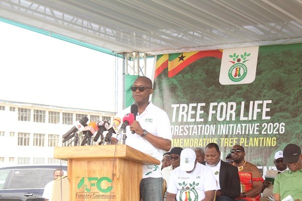 Ghana: Ghana earns $260m from timber exports, domestic sales in 2025 – CEO Forestry Commission
