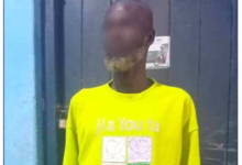 Suspect in police custody
