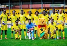 A line up of the Medeama team
