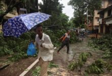 A worker clears a fallen tree after heavy rainfall in Mumbai, India