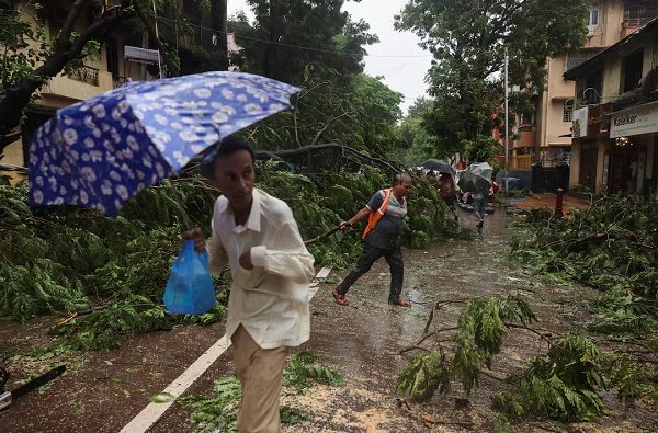A worker clears a fallen tree after heavy rainfall in Mumbai, India