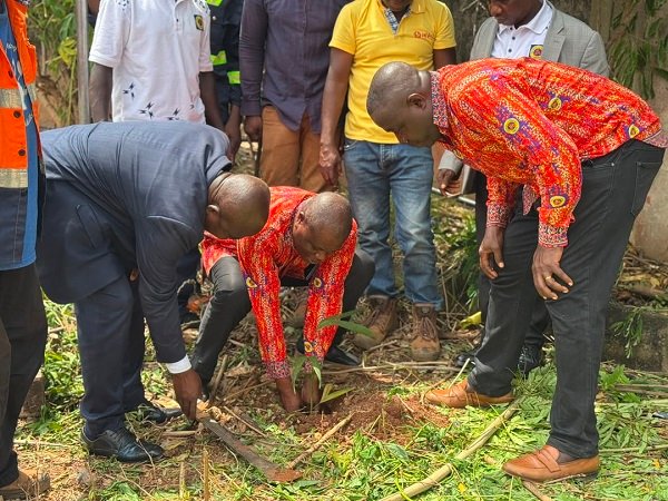 Mr Amoah (middle) planting a tree