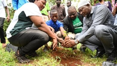 Mr Adams (second from right), assisted by Mr Issifu, Ms Musah and a student, planting a tree